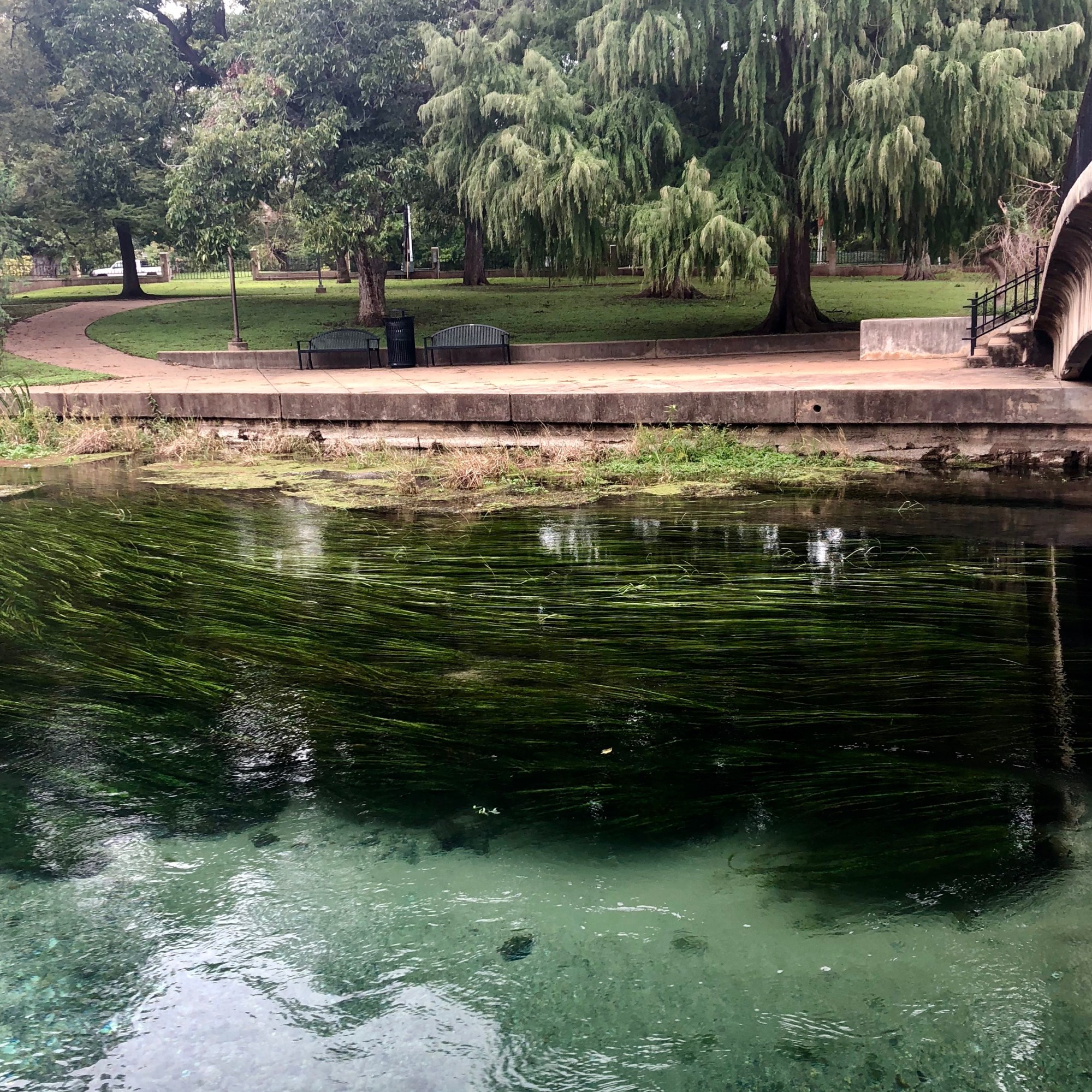 Clear, teal river in a park with benches and large oak and willow trees.