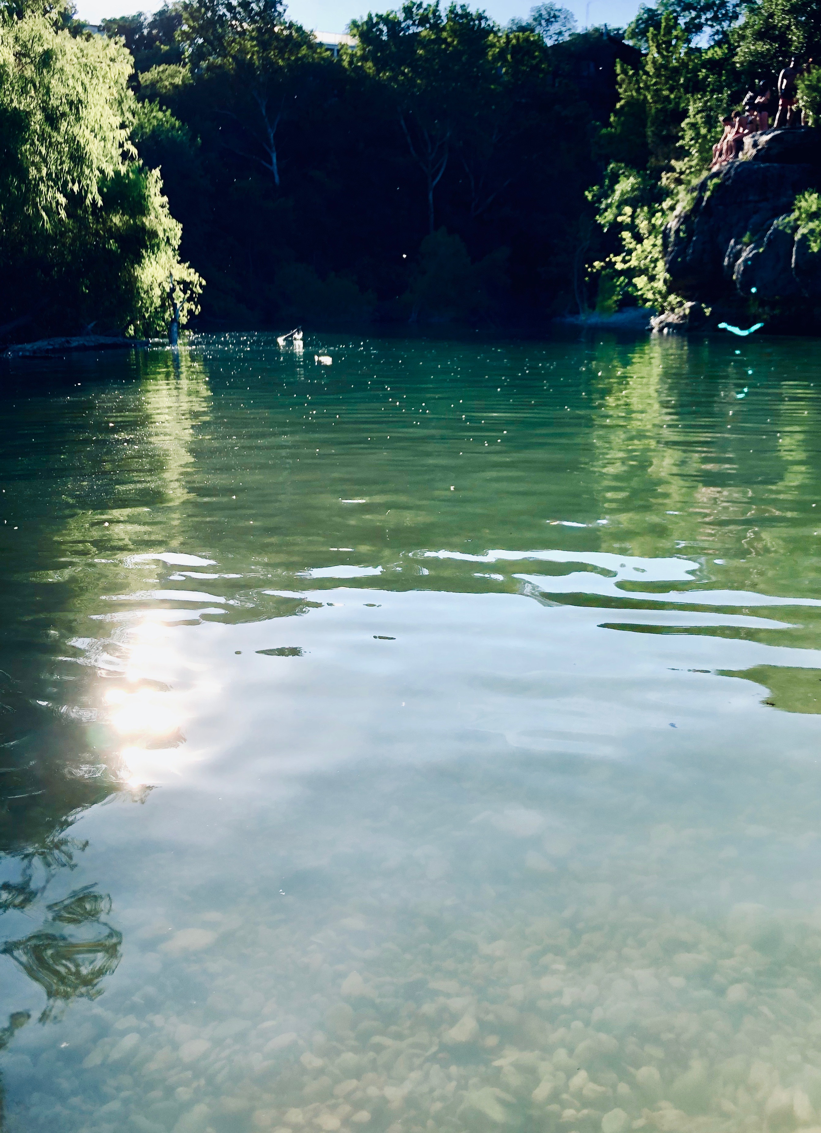 Sun shines on water, revealing the riverbed.