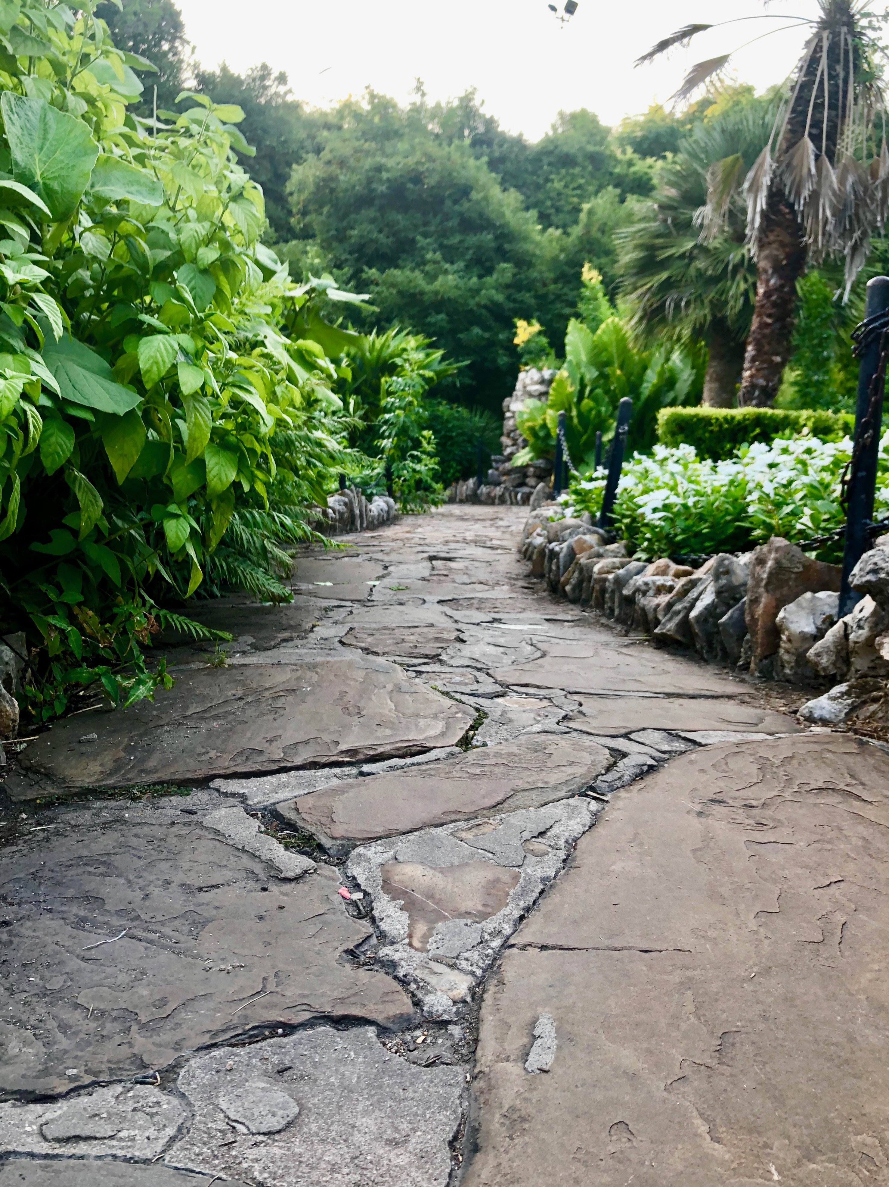 A gray flag-stone path is lined with rocks and lush bushes and flowers.