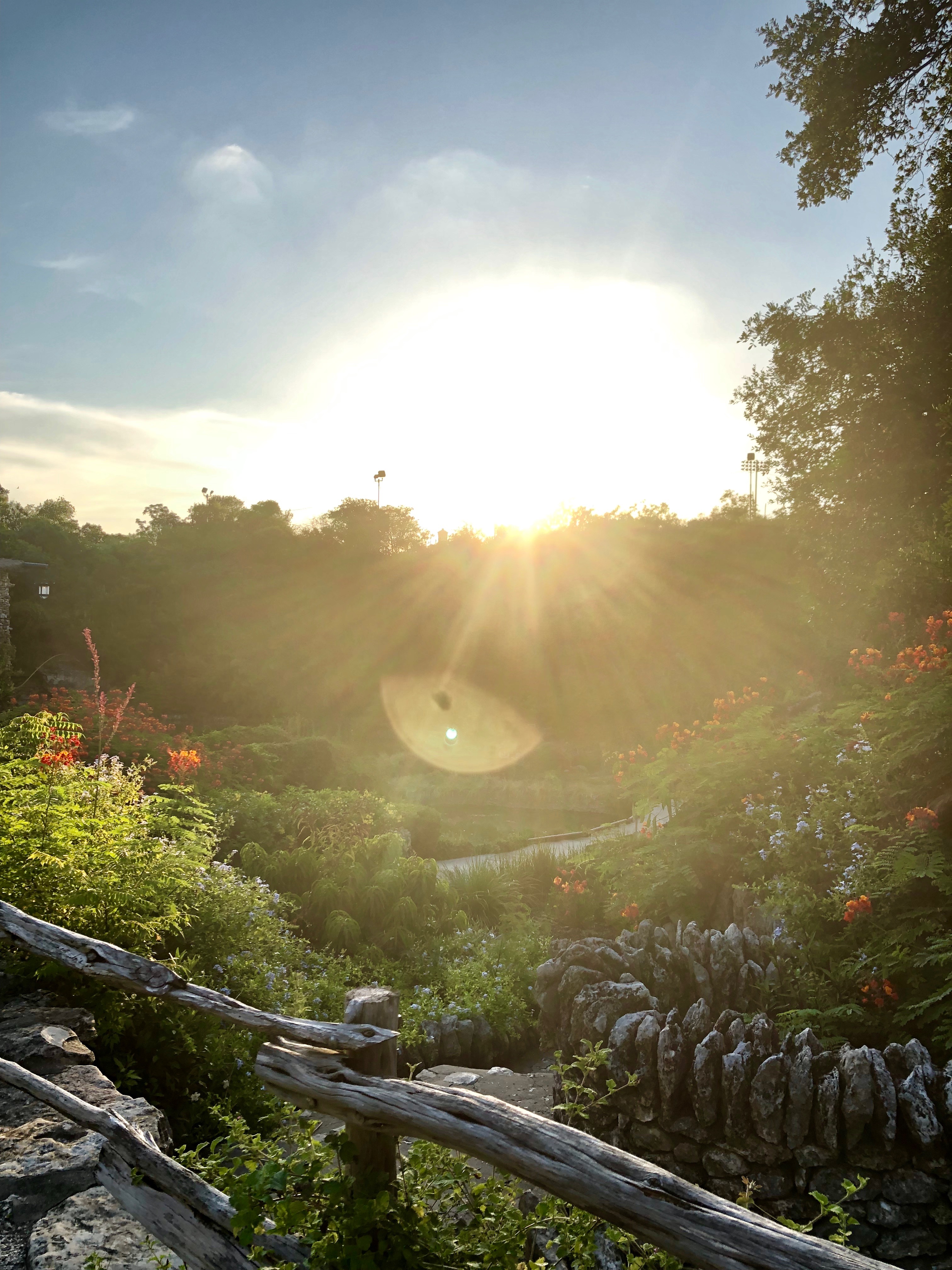 Sun shines on camera lens as it sets over the trees and garden below.