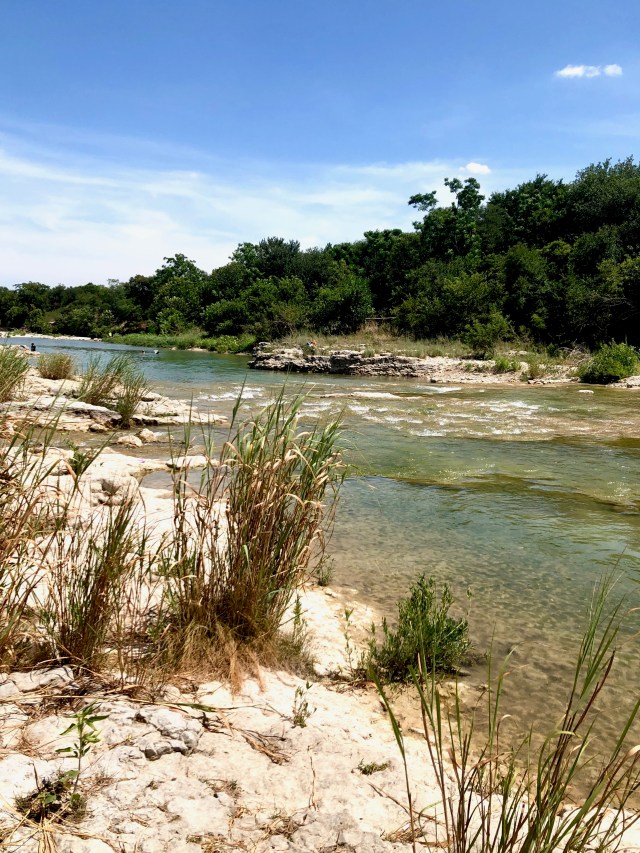 Dry grasses grow along the bank of a low-level river.