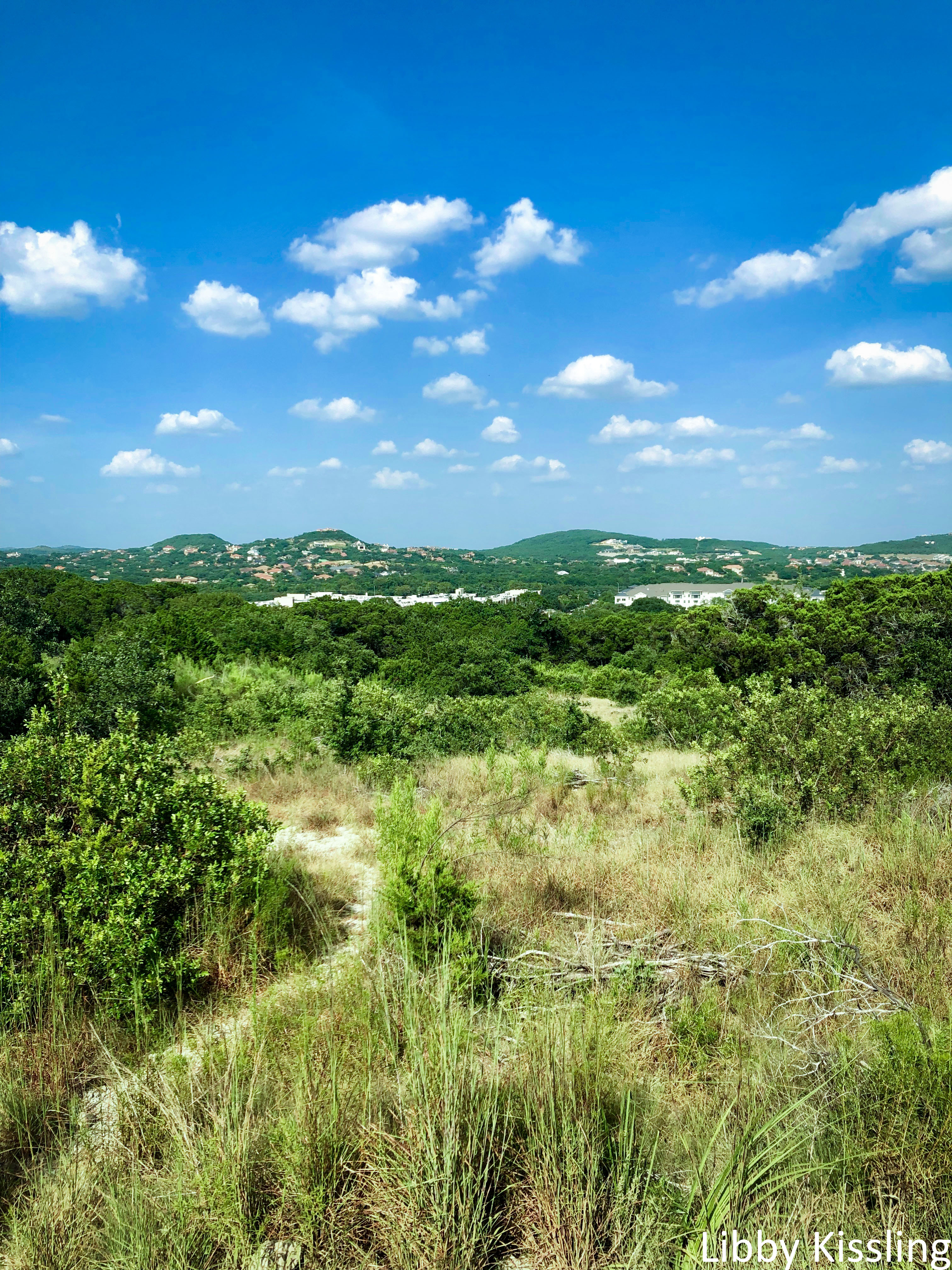 Apartment complexes and large houses can be seen in the distance from a grassy lookout.